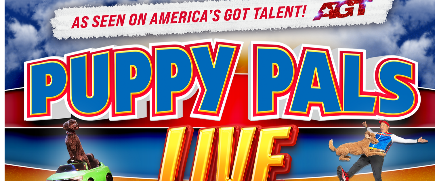 Ludus The Playhouse at White Lake