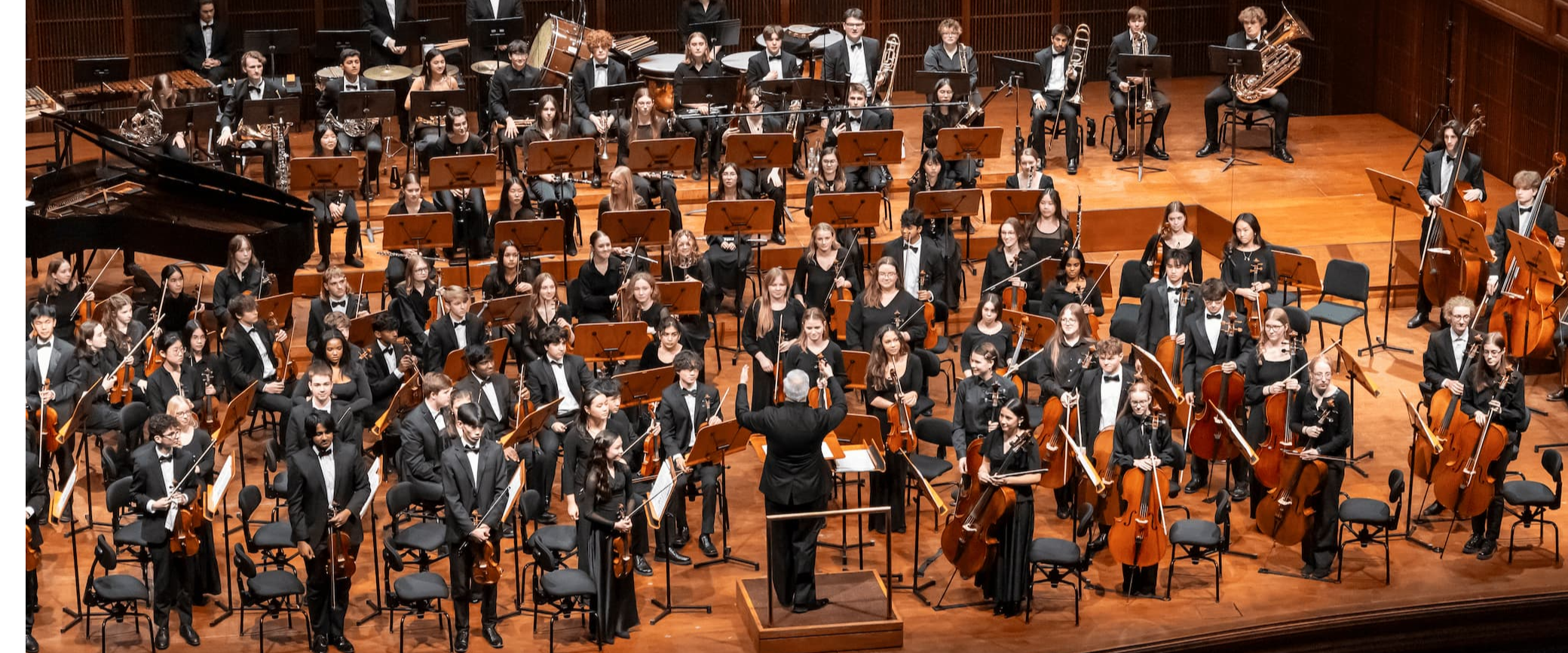 Ludus - Milwaukee Youth Symphony Orchestra